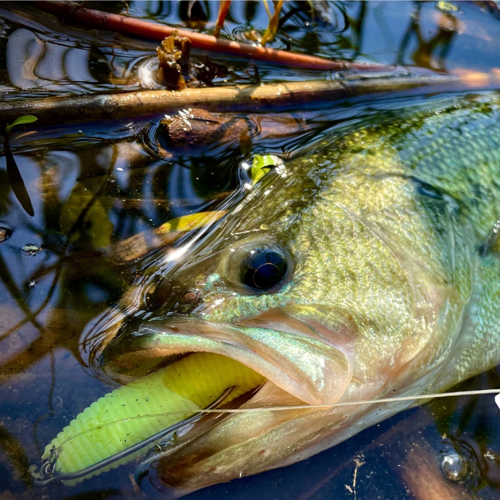 Cast&Catch SCREW-LOCK Weedless - Fishing Hook Weedless recension och pris