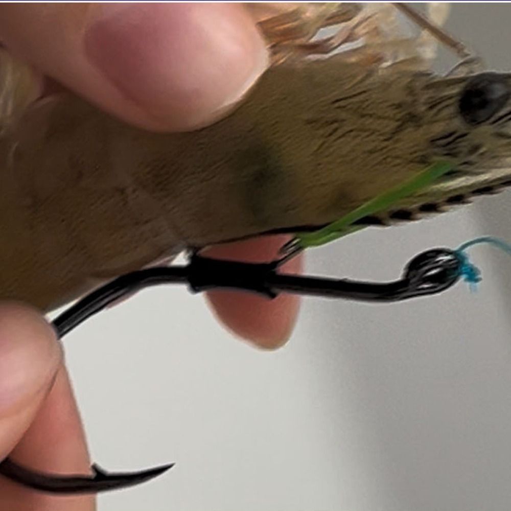 10pcs Pickerel Live Shrimp Bai - Fishing Hook Weedless recension och pris